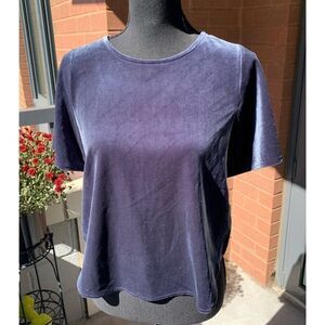 NWT Madewell Velvet Butterfly Shirt